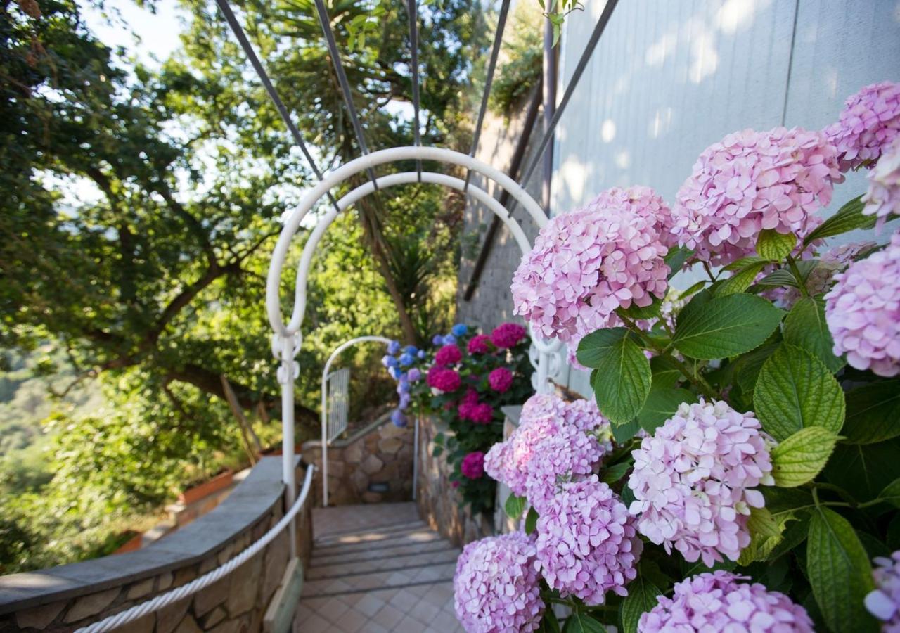 Le Terrazze Apartahotel Península Sorrentina